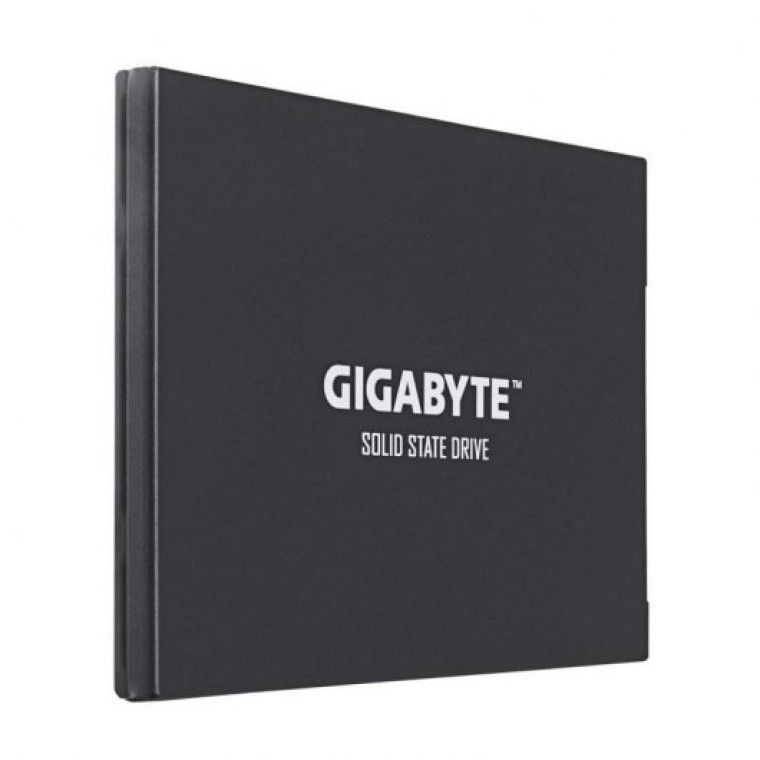 Gigabyte UD PRO 256GB Sata III