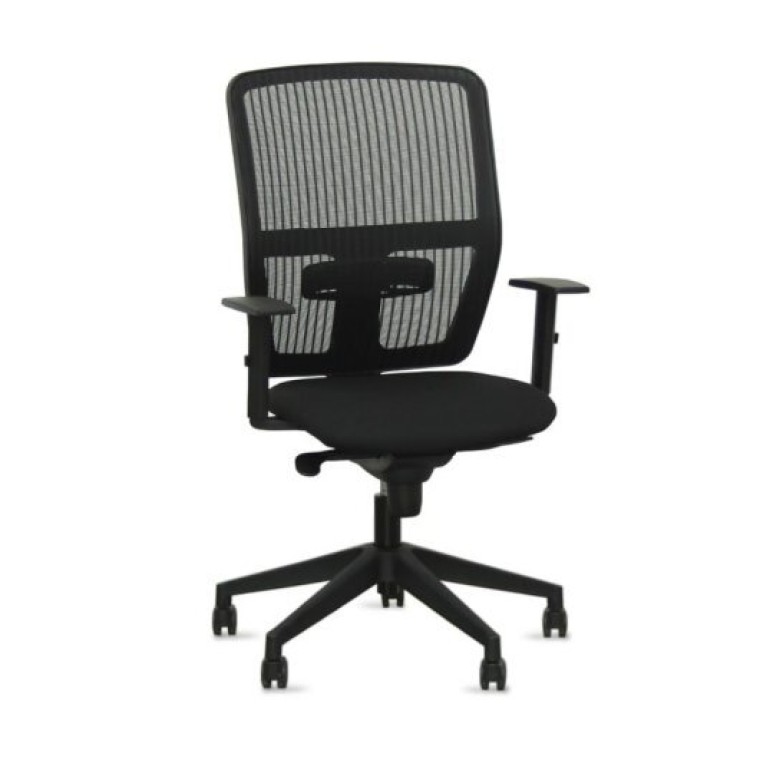 Silla Ergonómica De Oficina Plus 2