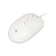 Ratón iBox Seagull USB tipo A 2400DPI Blanco Ambidiestro Cableado Ratón iBox Seagull USB tipo A 2400DPI Blanco Ambidiestro Cableado