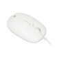 Ratón iBox Seagull USB tipo A 2400DPI Blanco Ambidiestro Cableado Ratón iBox Seagull USB tipo A 2400DPI Blanco Ambidiestro Cableado