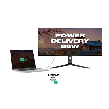 Monitor JAPANNEXT JN-5X40 39.7" LED IPS UltraWide UltraHD 4K FreeSync Curva USB-C