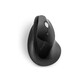 Kensington Pro Fit Ergo Ratón Óptico Inalámbrico Vertical 1600 DPI Negro Kensington Pro Fit Ergo Ratón Óptico Inalámbrico Vertical 1600 DPI Negro