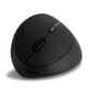 Kensington Pro Fit Ratón Inalámbrico Vertical para Zurdos 1600DPI Negro