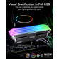 Memoria RAM Lexar ARES RGB DDR5 6400Mhz 32GB 2x16GB CL32