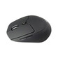 Conceptronic Lorcan Ratón Bluetooth 1600DPI Negro Conceptronic Lorcan Ratón Bluetooth 1600DPI Negro