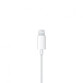 Apple EarPods Auriculares con Conector Lightning para iPhone/iPad/iPod Apple EarPods Auriculares con Conector Lightning para iPhone/iPad/iPod