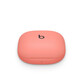 Beats Fit Pro Auriculares Inalámbricos con Cancelación Activa del Ruido Rosa Coral Beats Fit Pro Auriculares Inalámbricos con Cancelación Activa del Ruido Rosa Coral