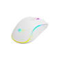 Ratón Havit MS1034 USB 4800DPI Blanco 7 Botones Ergonomía Gaming