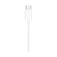 Apple Earpods MTJY3ZM/A Auriculares Inear con Cable USB-C Blancos