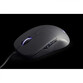 Gembird MUS-UL-01 Ratón Óptico 2400DPI Negro Gembird MUS-UL-01 Ratón Óptico 2400DPI Negro