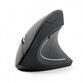Gembird MUSW-ERGO-0 Ratón Ergonómico Inalámbrico 1600DPI Gembird MUSW-ERGO-0 Ratón Ergonómico Inalámbrico 1600DPI