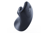 Ratón Gembird inalámbrico 1600 DPI 6 botones Nanoreceptor USB ergonómico Negro