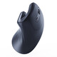 Ratón Gembird inalámbrico 1600 DPI 6 botones Nanoreceptor USB ergonómico Negro