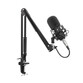 Genesis Radium 300 XLR Micrófono Condensador Cardioide Genesis Radium 300 XLR Micrófono Condensador Cardioide