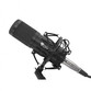 Genesis Radium 300 XLR Micrófono Condensador Cardioide Genesis Radium 300 XLR Micrófono Condensador Cardioide