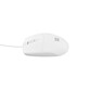 Ratón NATEC con cable óptico USB tipo A 3 botones rueda de desplazamiento Ratón NATEC con cable óptico USB tipo A 3 botones rueda de desplazamiento