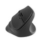 Natec Crake 2 Diestro Ratón Vertical Inalámbrico 2400DPI Negro Natec Crake 2 Diestro Ratón Vertical Inalámbrico 2400DPI Negro