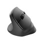 Natec Crake 2 Zurdo Ratón Vertical Inalámbrico 2400DPI Negro Natec Crake 2 Zurdo Ratón Vertical Inalámbrico 2400DPI Negro