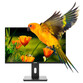 Nilox NXM24REG02 24" LED IPS FullHD 75Hz Nilox NXM24REG02 24" LED IPS FullHD 75Hz