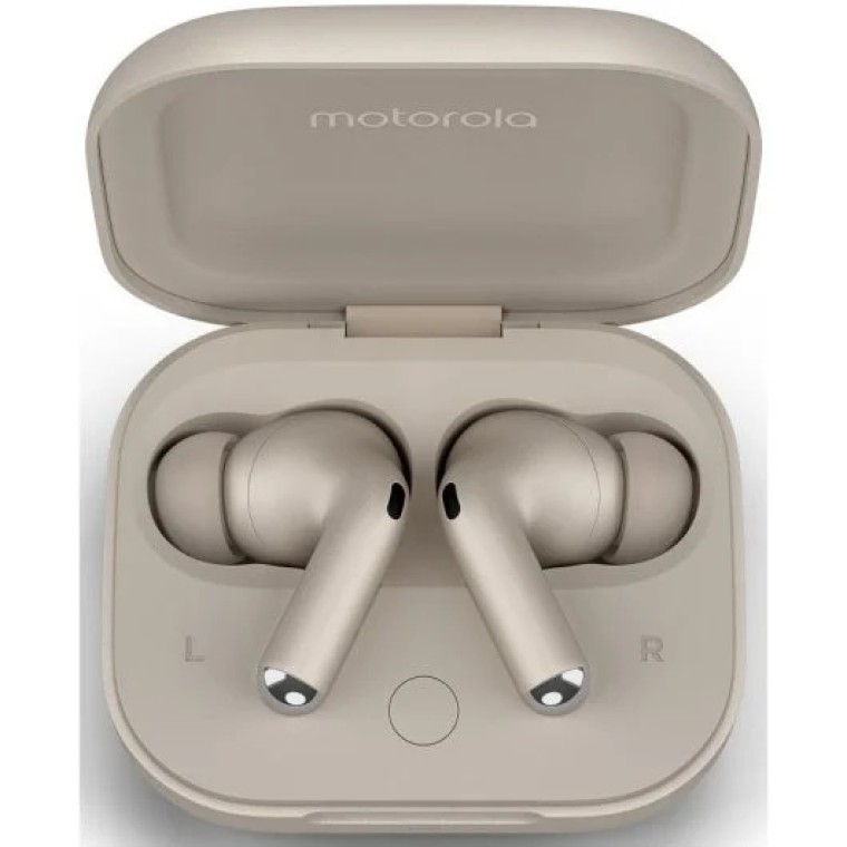 Motorola Buds Plus Sound by Bose Auriculares Inalámbricos con Autonomía de 30h Gris