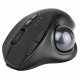 Phoenix Ergo T1 Ratón Óptico Trackball Inalámbrico 2400DPI Negro