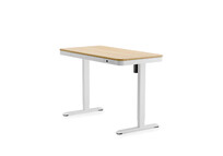 Escritorio Elevable Todo en Uno con Diseño Estético (Comhar)