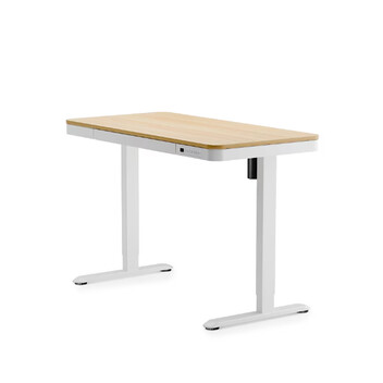 Escritorio Elevable Todo en Uno con Diseño Estético (Comhar)