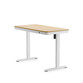 Escritorio Elevable Todo en Uno con Diseño Estético (Comhar)