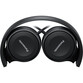 Panasonic RP-HF100M Auriculares Negros