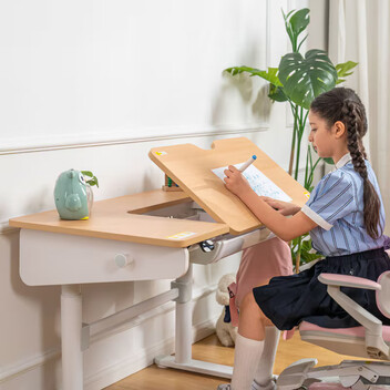 Escritorio infantil ajustable SD2 (SD2)