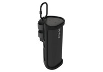 Flexson Funda de Viaje Montable Negra para Sonos Roam