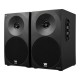 Altavoz Woxter Dynamic Line DL- 410 150W Negro