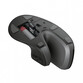 Trust Verro Ratón Ergonómico Inalámbrico 1600 DPI Negro