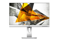 AOC Pro-line X24P1/GR 24" LED IPS WUXGA Plata